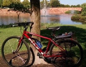 A bicycle leans against a tree trunk in front of a lake shore.